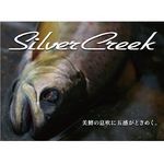 Спиннинг Daiwa Silver Creek AGS 710ML