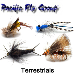 PFG Terrestrials