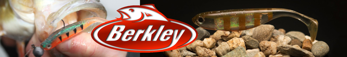 Berkley Gotam Shad 3
