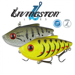 Livingston