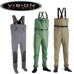 Vision