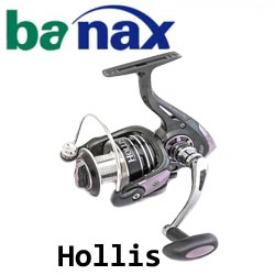 Banax Hollis