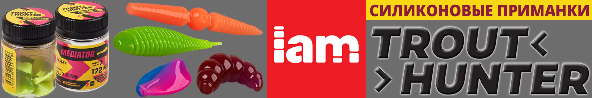 IAM