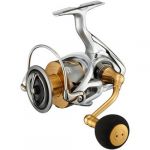 Катушка безынерционная Daiwa 21 Freams LT6000D-H