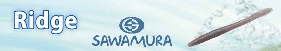 Sawamura Ridge 4