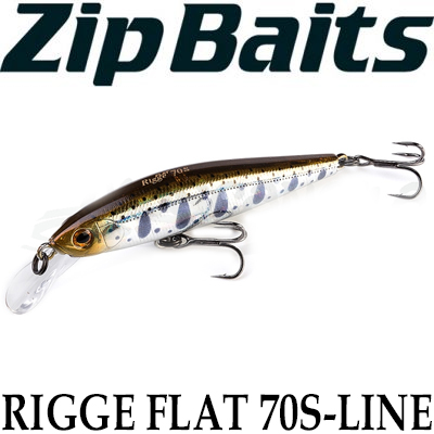 ZipBaits Rigge Flat 70S-Line