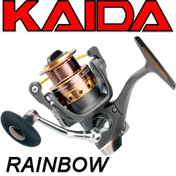 Kaida R003 Rainbow