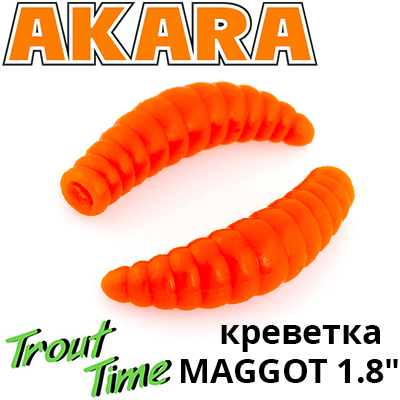 Akara Trout Time Maggot 1,8" Shrimp
