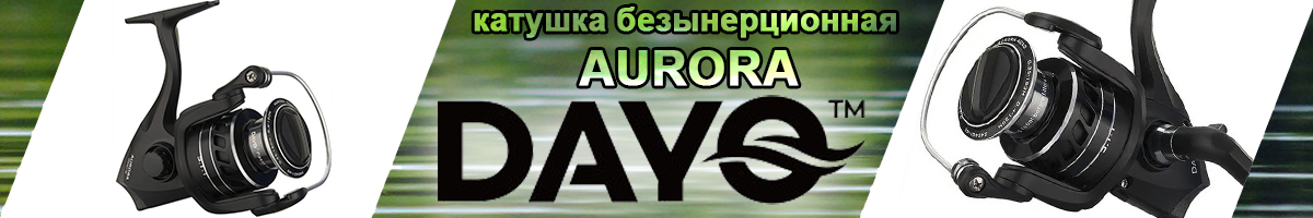 Dayo Aurora