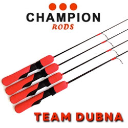 Team Dubna