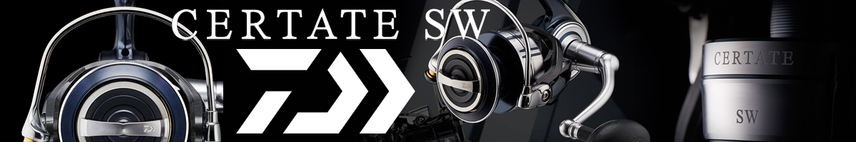 Daiwa 21 Certate SW 