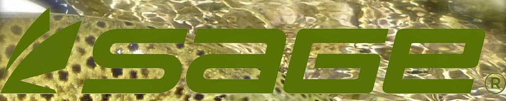 Sage WF-12-F Flyline Equator II SLTWTR 100'