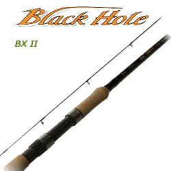 Black Hole BX - II