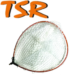 TSR SLNTH White/Orange