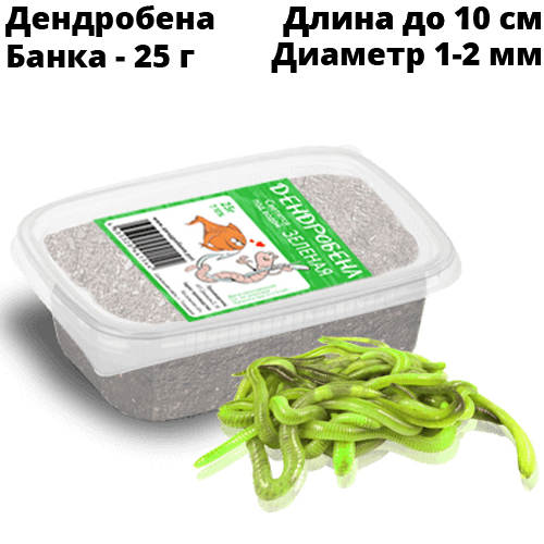 Червь Дендробена Зеленая 25гр. Жесткая пластиковая банка