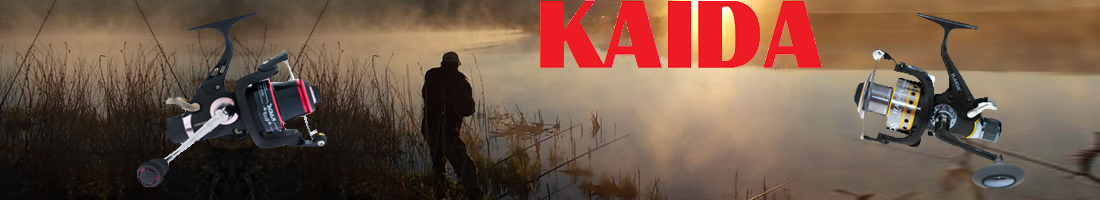 Kaida HA