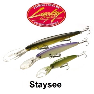 Lucky Craft Staysee