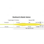 Шнур стреляющая голова Rio Steelhead SSH 33ft 450gr цв. lvory