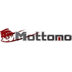 Mottomo Spring Cast