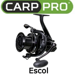 Carp Pro Escol