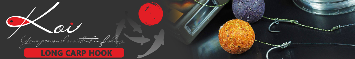 Koi Long Carp Hook