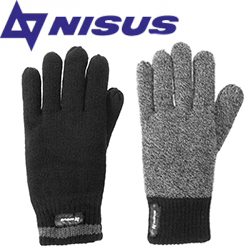 Nisus