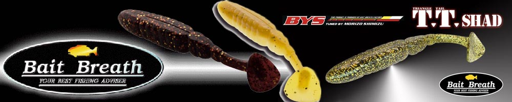 Bait Breath T.T. Shad 4
