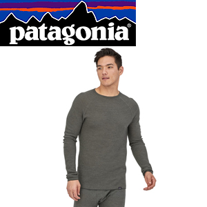 Patagonia M's Cap TW Crew FGX