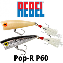 Rebel Pop-R P60