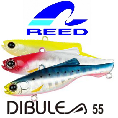 Reed Dibule 55S