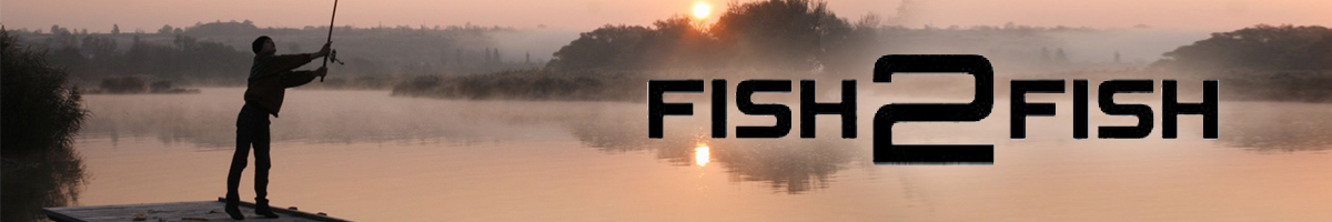 Fish2Fish