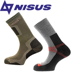 Nisus