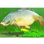 Клипса на трубке Korda Lead Clip Action Pack Slit KLCAPS