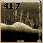 Эхолот Lowrance Mark 5x DSI (000-10233-001)