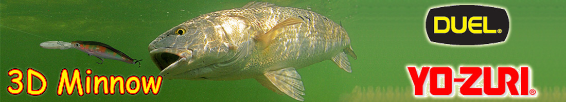 Yo-Zuri 3D Minnow 150 F622