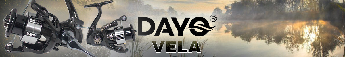 Dayo Vela