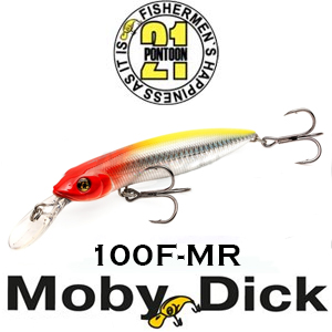 Pontoon21 Moby Dick 100F-MR 