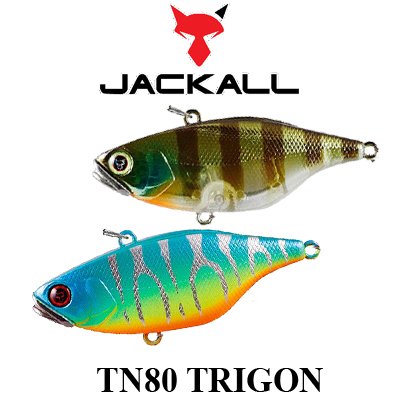 Jackall TN80