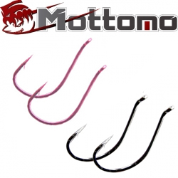 Mottomo