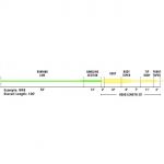 Шнур нахлыстовый Rio The 15ft VersiTip Fly Lines (A) WF4F TIP