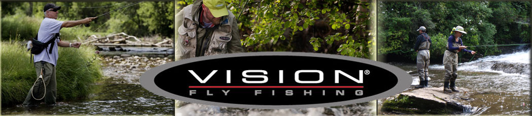 Vision V2993