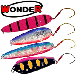 Wonder
