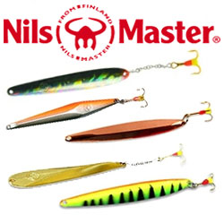 Nils Master