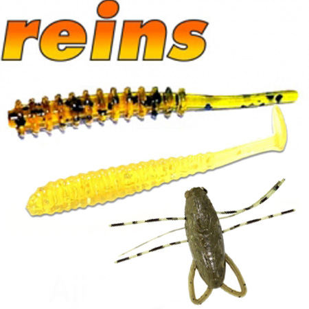 Reins
