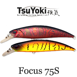 TsuYoki Focus 75S