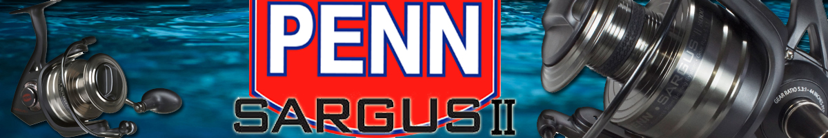 Penn Sargus II