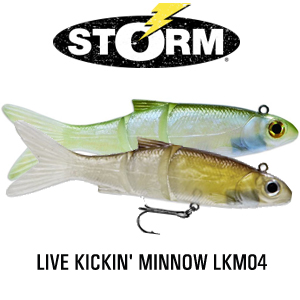 Storm Live Kickin' Minnow LKM04