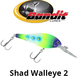 Bandit Shad Walleye 2
