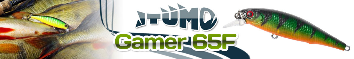 Itumo Gamer 65F