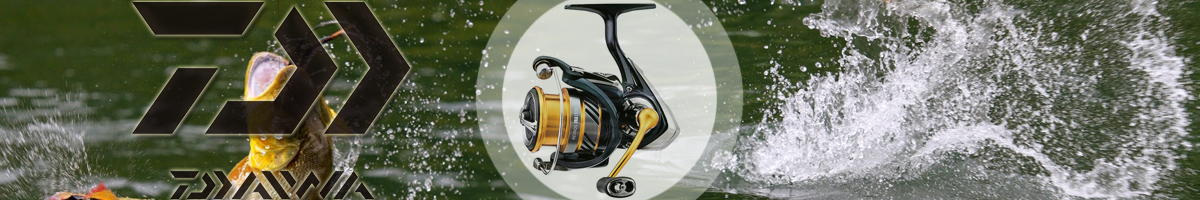 Daiwa 19 Revros LT